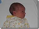 april06patrick01.jpg april06patrick01.jpg