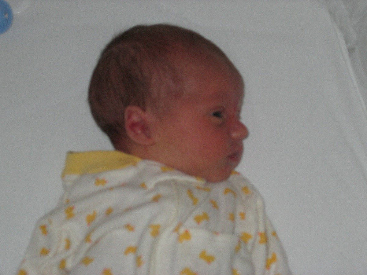 april06patrick01.jpg