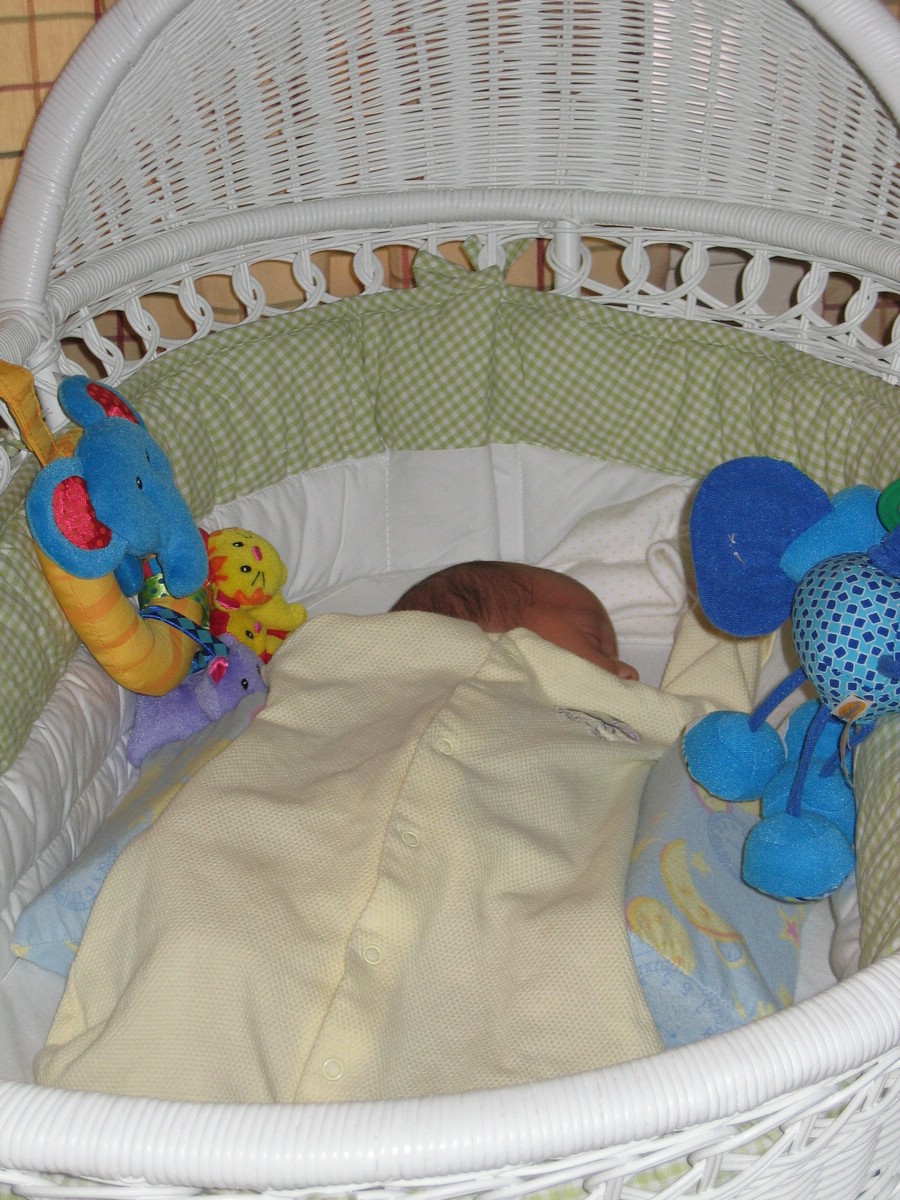 april06patrick02.jpg
