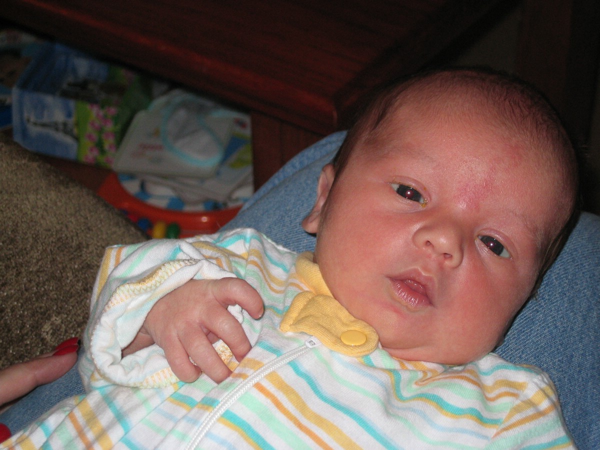 april06patrick15.jpg