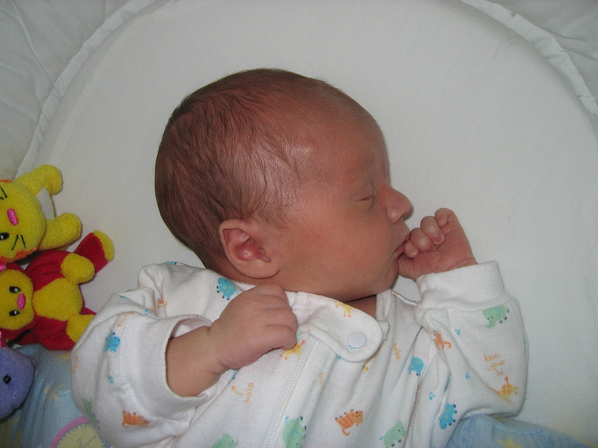 april06patrick18.jpg