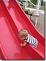 IMG_1422.JPG IMG_1422.JPG