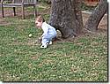 IMG_0026a.JPG