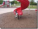 IMG_1434.JPG
