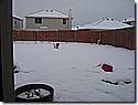 IMG_9886.JPG