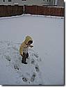 IMG_9890.JPG