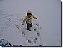 IMG_9891.JPG