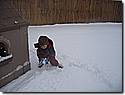 IMG_9899.JPG