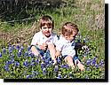 IMG_0036-69.JPG