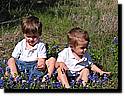 IMG_0043-63.JPG