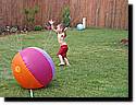 IMG_0106-08.JPG