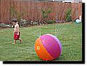IMG_0108-06.JPG
