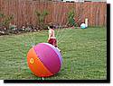 IMG_0112-02.JPG
