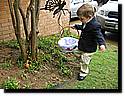 IMG_0331.JPG