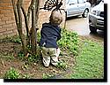 IMG_0332.JPG