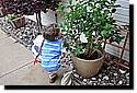 easter2010-13.JPG