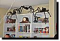 patrick-bd-2010-38.JPG