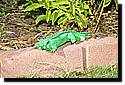 xander-birthday-2011-40.jpg