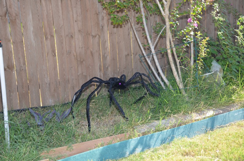 xander-birthday-2011-41.jpg
