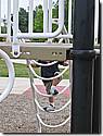 IMG_1429.JPG
