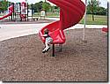 IMG_1434.JPG