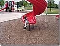 IMG_1434.JPG