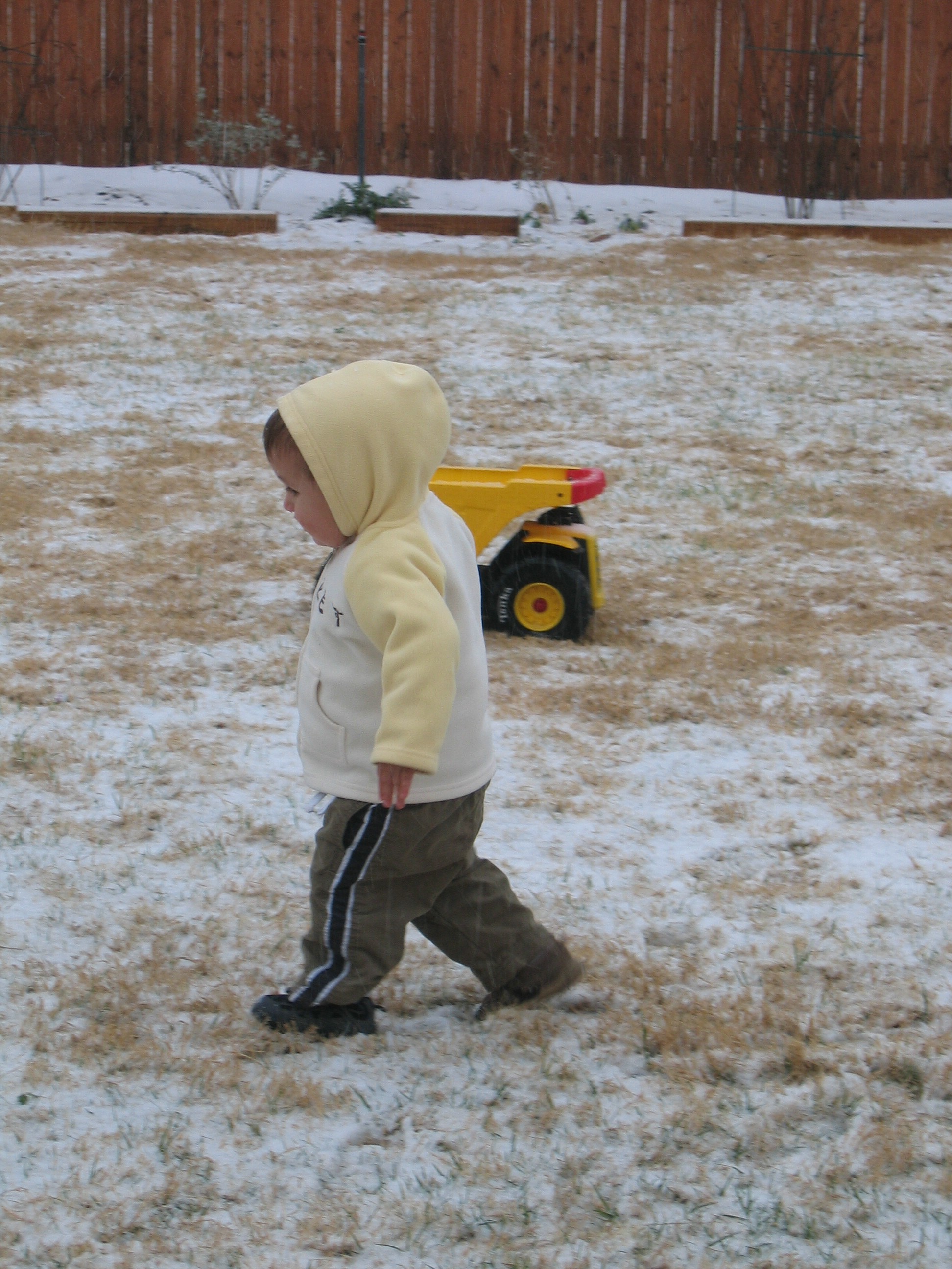 IMG_9873.JPG