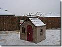 IMG_9884.JPG