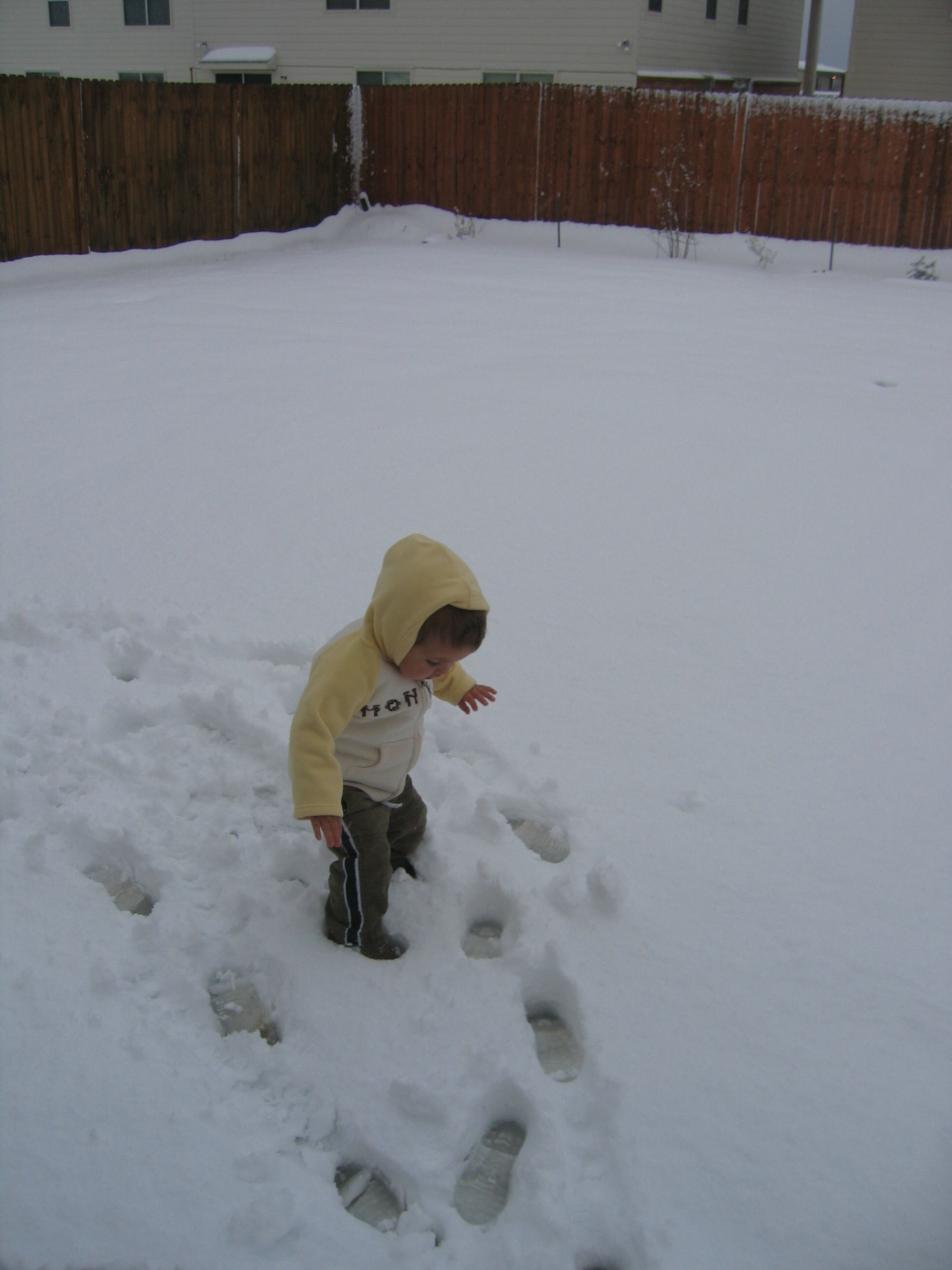 IMG_9890.JPG