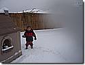 IMG_9897.JPG