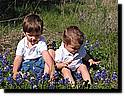 IMG_0042-64.JPG