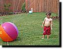 IMG_0104-10.JPG