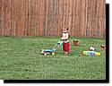 IMG_0113-01.JPG