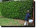 IMG_0325.JPG