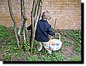 IMG_0334.JPG