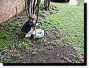IMG_0336.JPG