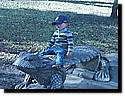 IMG_4529.JPG