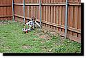 easter2010-24.JPG