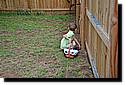 easter2011-18.jpg