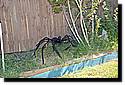 xander-birthday-2011-41.jpg