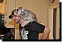 xmas2010-28.JPG