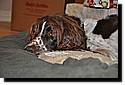 xmas2010-43.JPG