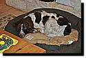 xmas2010-44.JPG