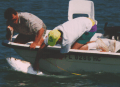 Measuring Tarpon
