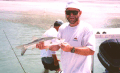 Snook